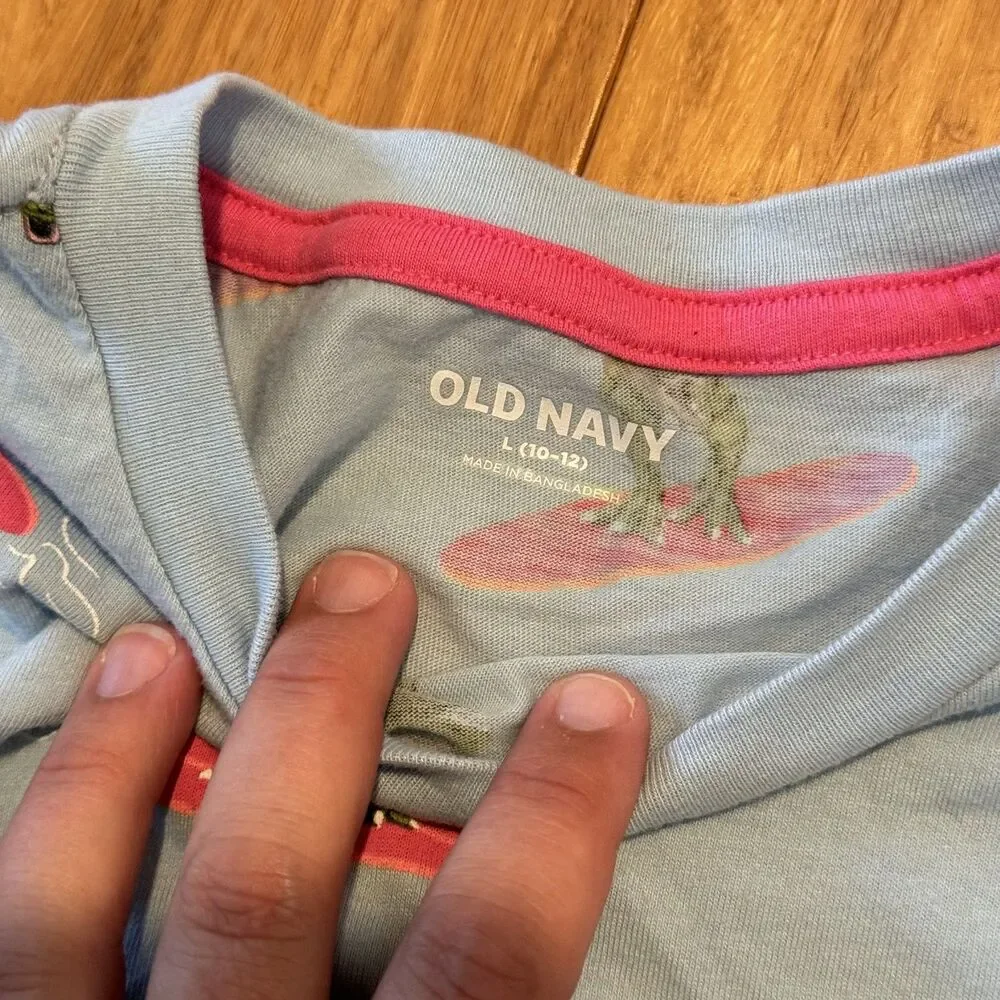 2 Old Navy Dinosaur Shirts Size Large